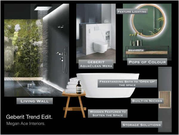 Megan Ace Interiors collaboration with Geberit